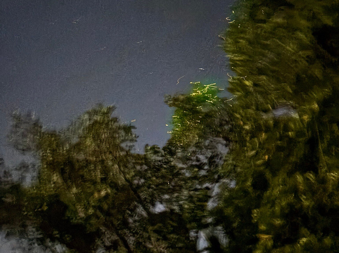 Abatan River-Cortes必去景点