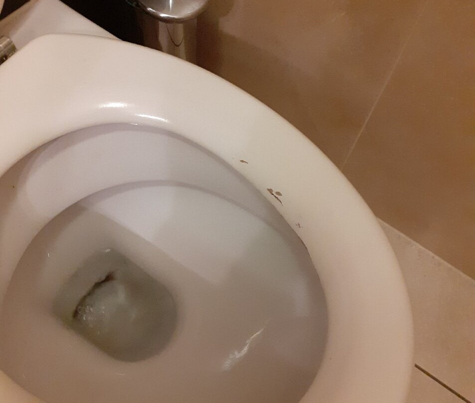 Enzo Hôtel Diane - Logis Amnéville主图