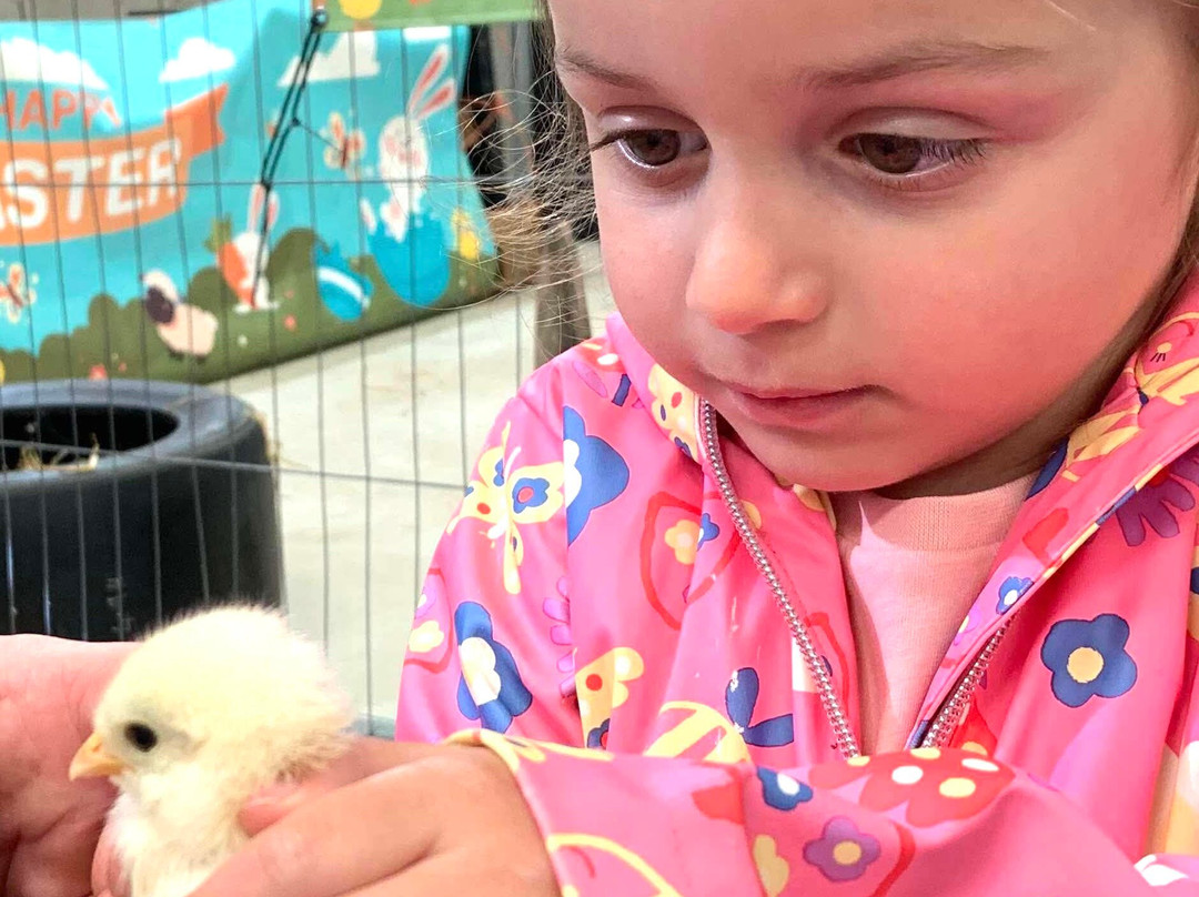 Melbourne Animal Farm-Melbourne必去景点