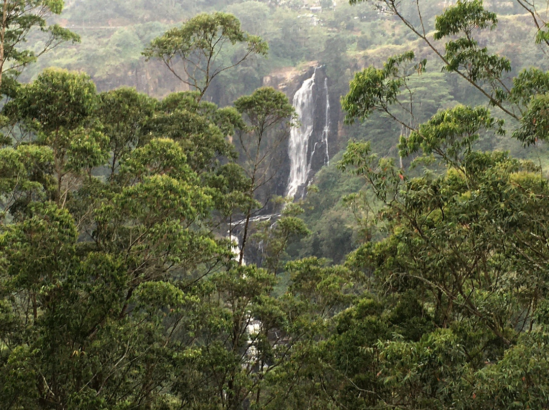 Devon Falls景点图片