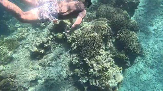 West Bali Discovery-佩母德兰必去景点