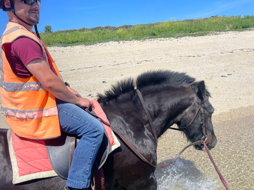 St Mary's Riding Centre-St Mary's必去景点