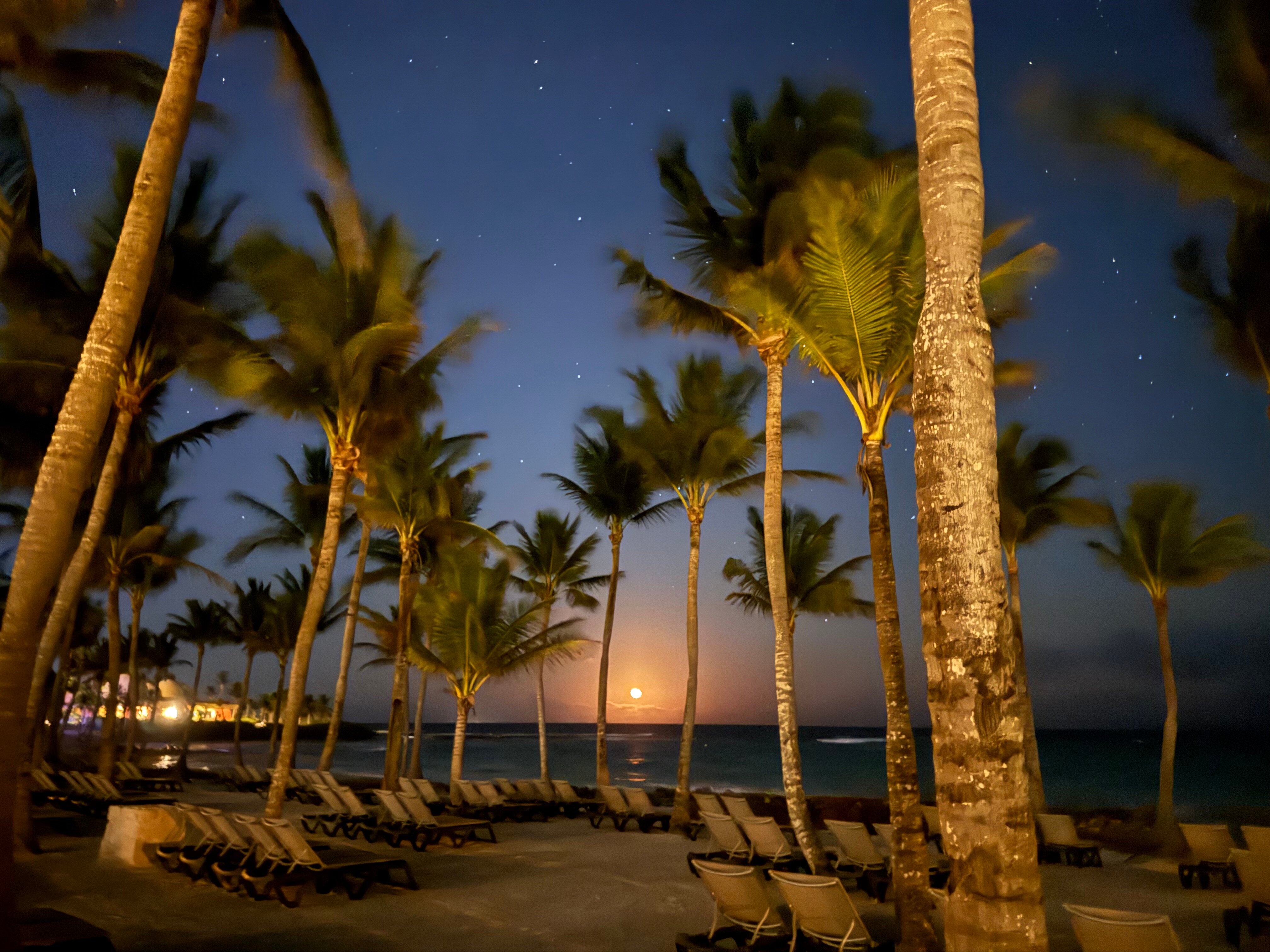 Barcelo Maya Palace-泳池