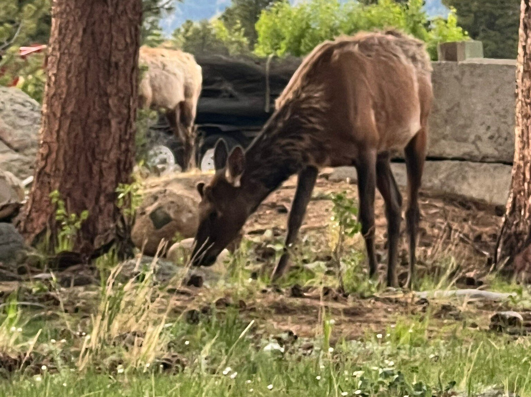 Downtown Estes Park-埃斯蒂斯公园必去景点