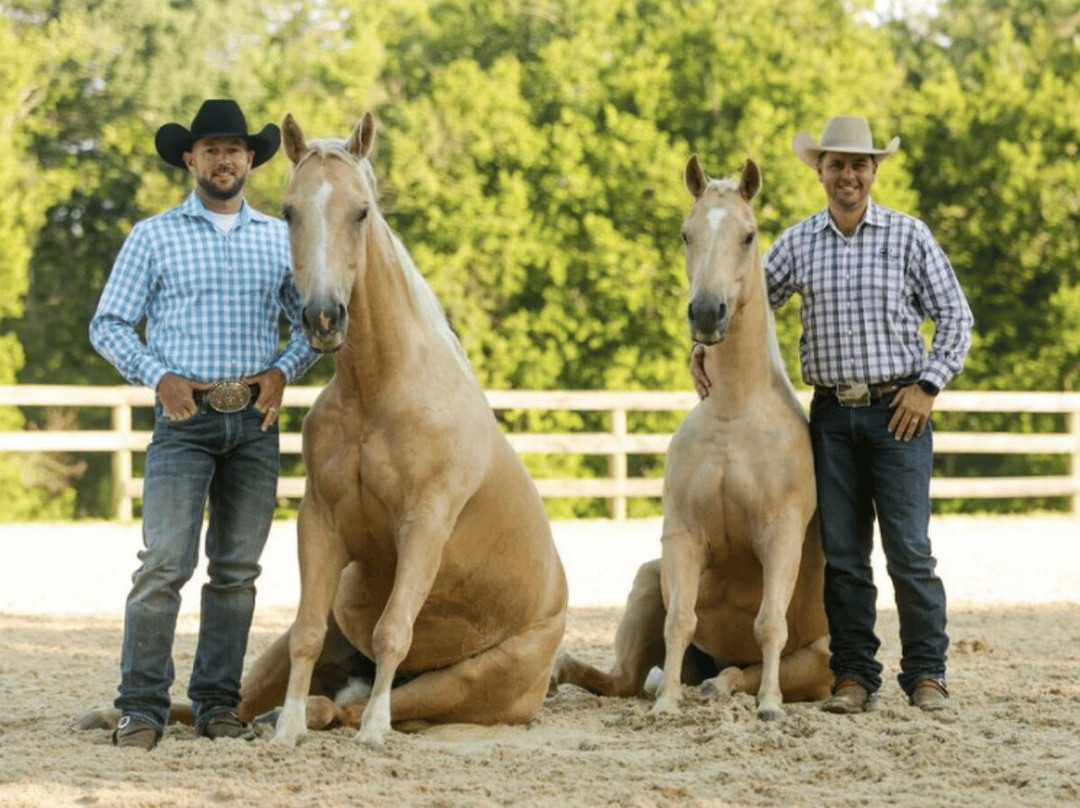 Double Dan Horsemanship-Midway必去景点