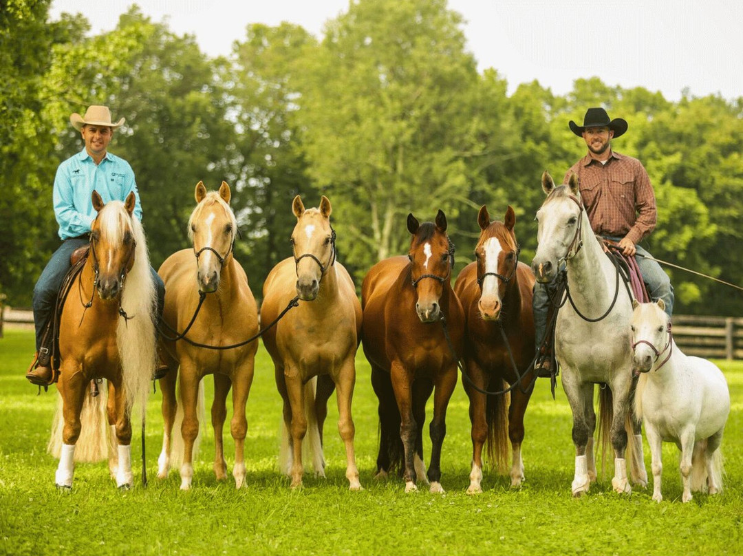 Double Dan Horsemanship-Midway必去景点