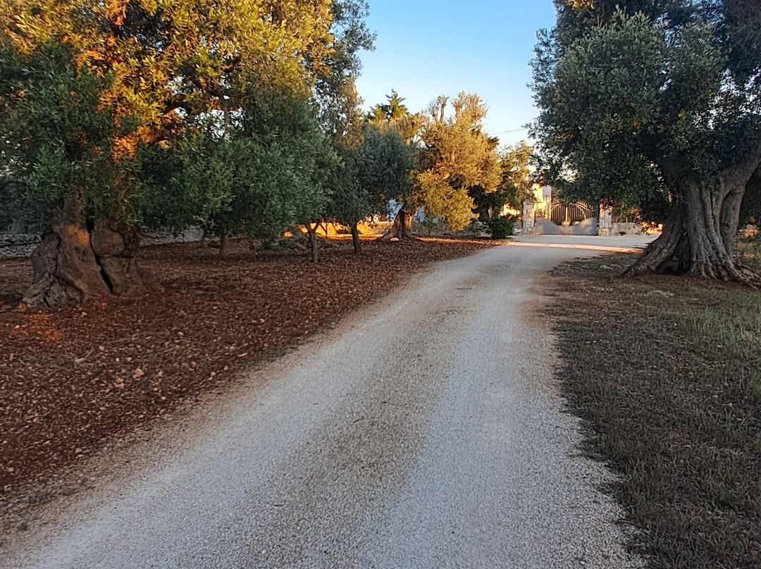 德米特民宿主图