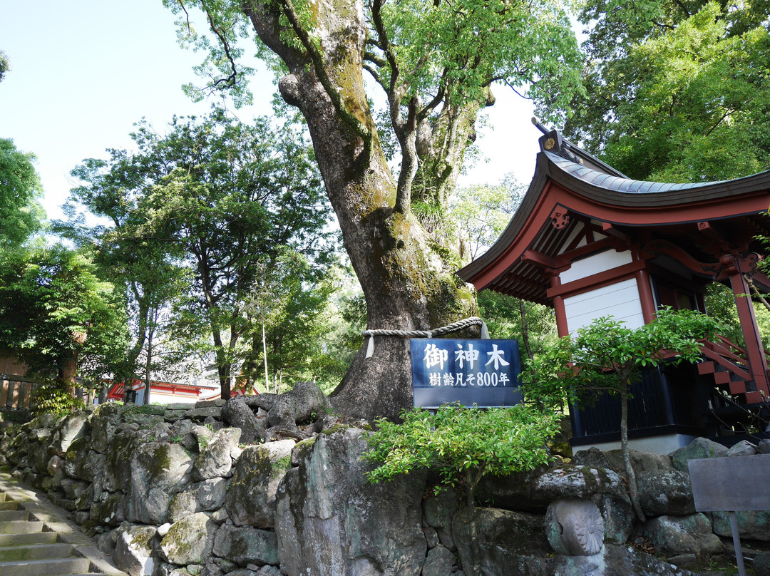 Kagoshima Jingu Shrine景点图片