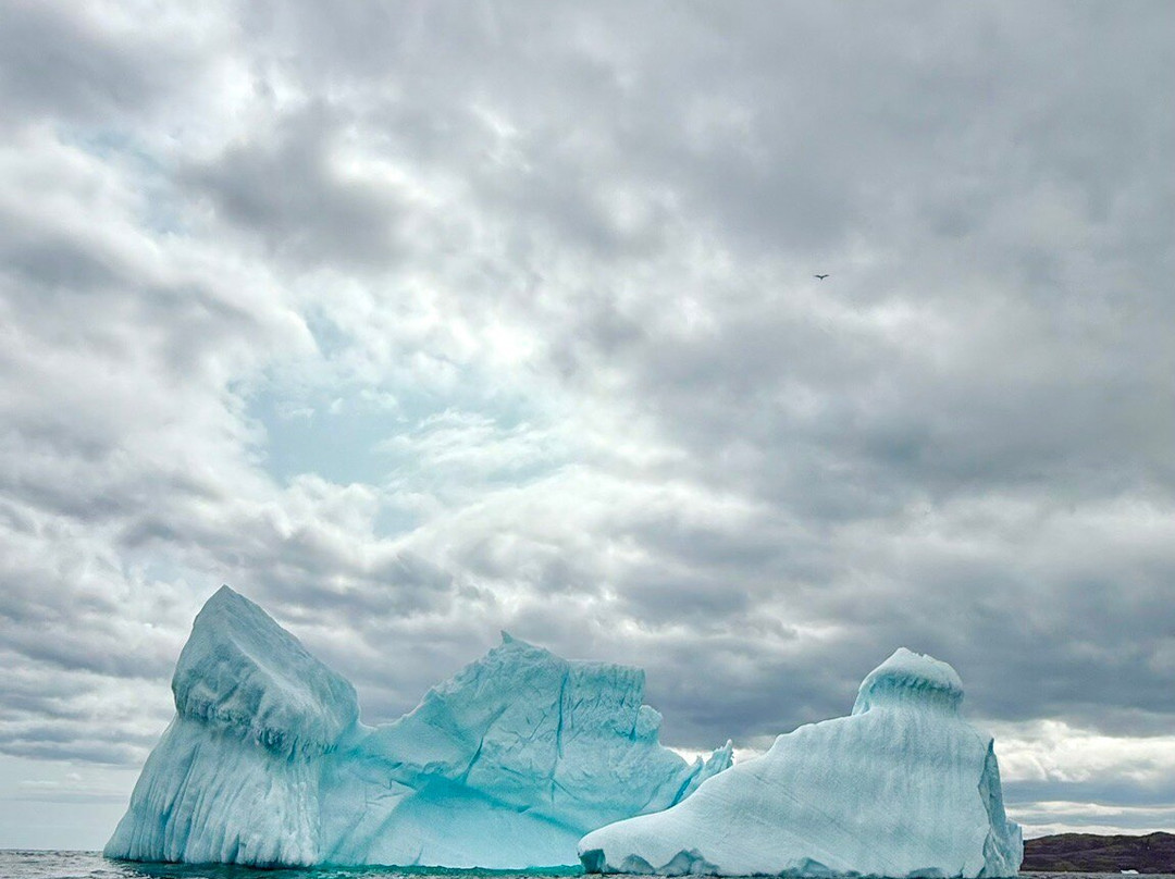Iceberg Alley Boat Tours-St. Anthony必去景点
