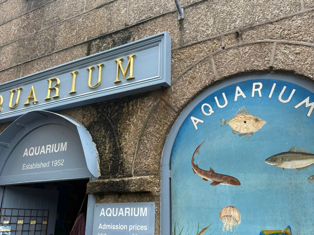 Fowey Aquarium-福伊必去景点