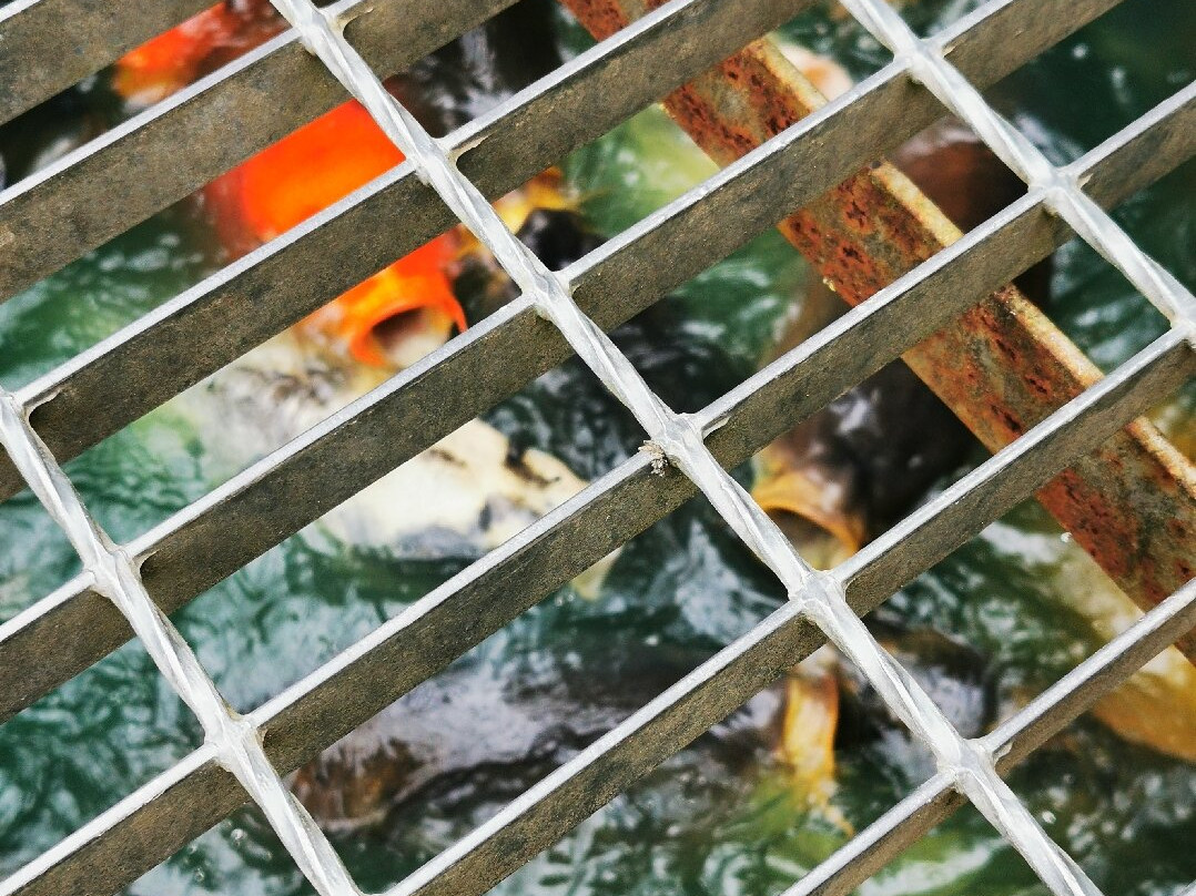 Honeysuckle Farm-Hornsea必去景点