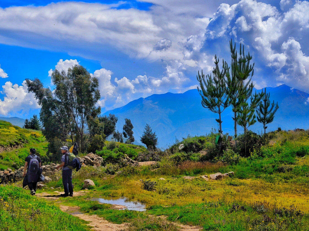 COLCA ONE DAY HIKE景点图片