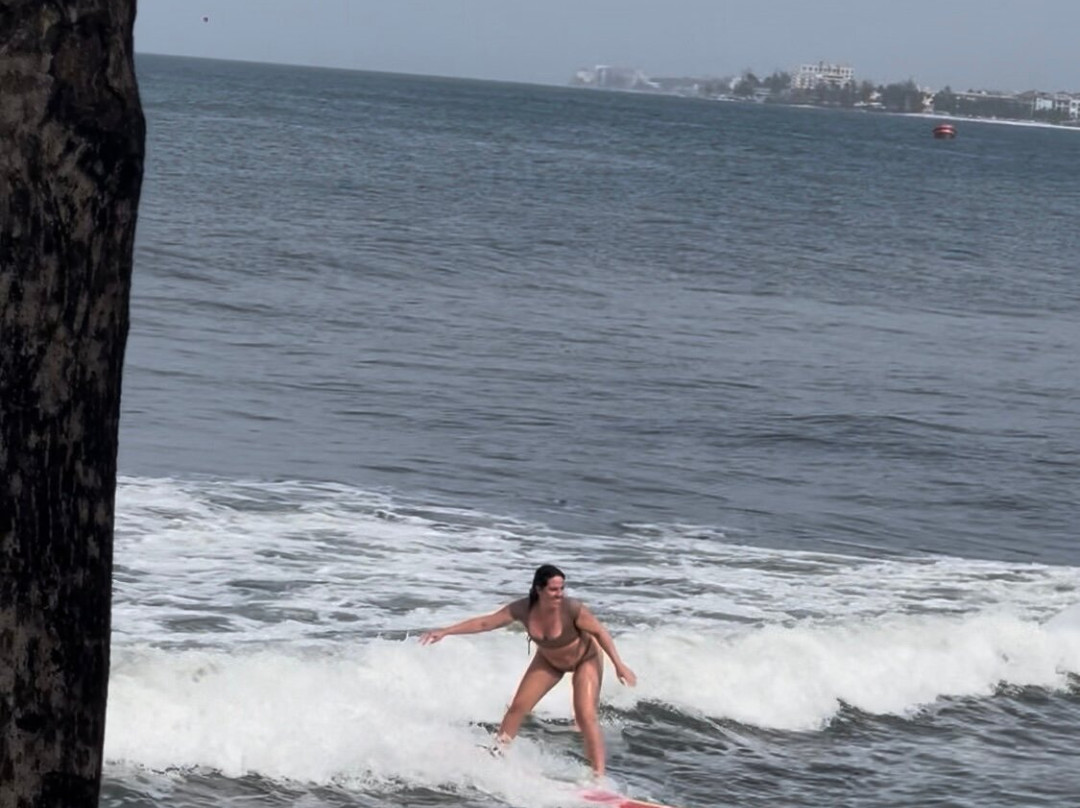 Freights bay surf school-Enterprise必去景点