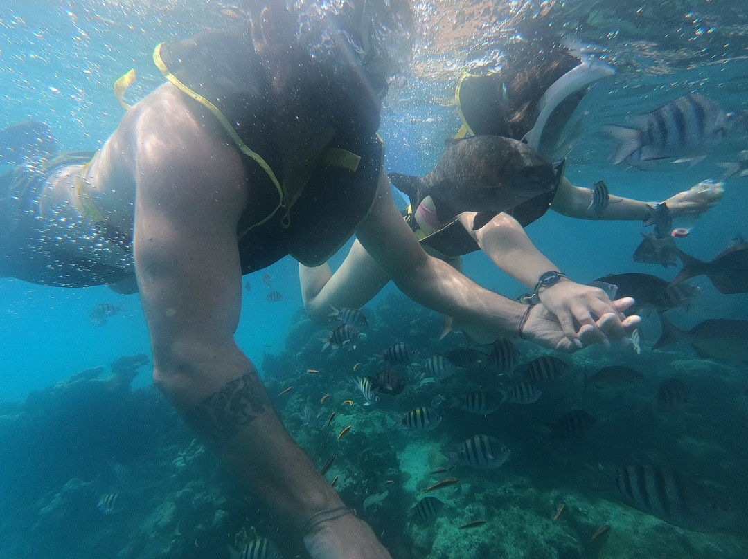 Snorkeling Tour Varadero景点图片