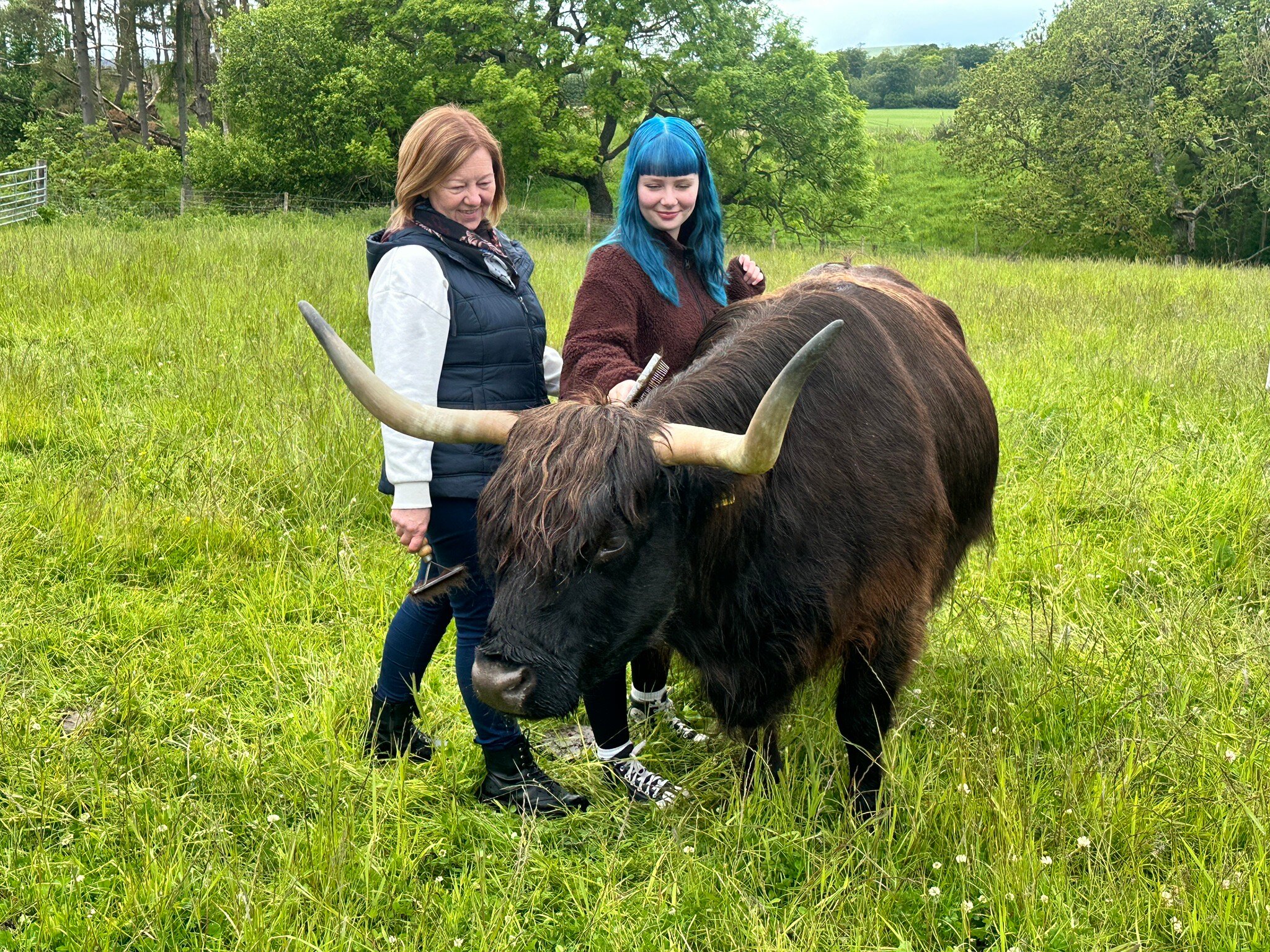 Newton Farm Holidays & Tours-官方