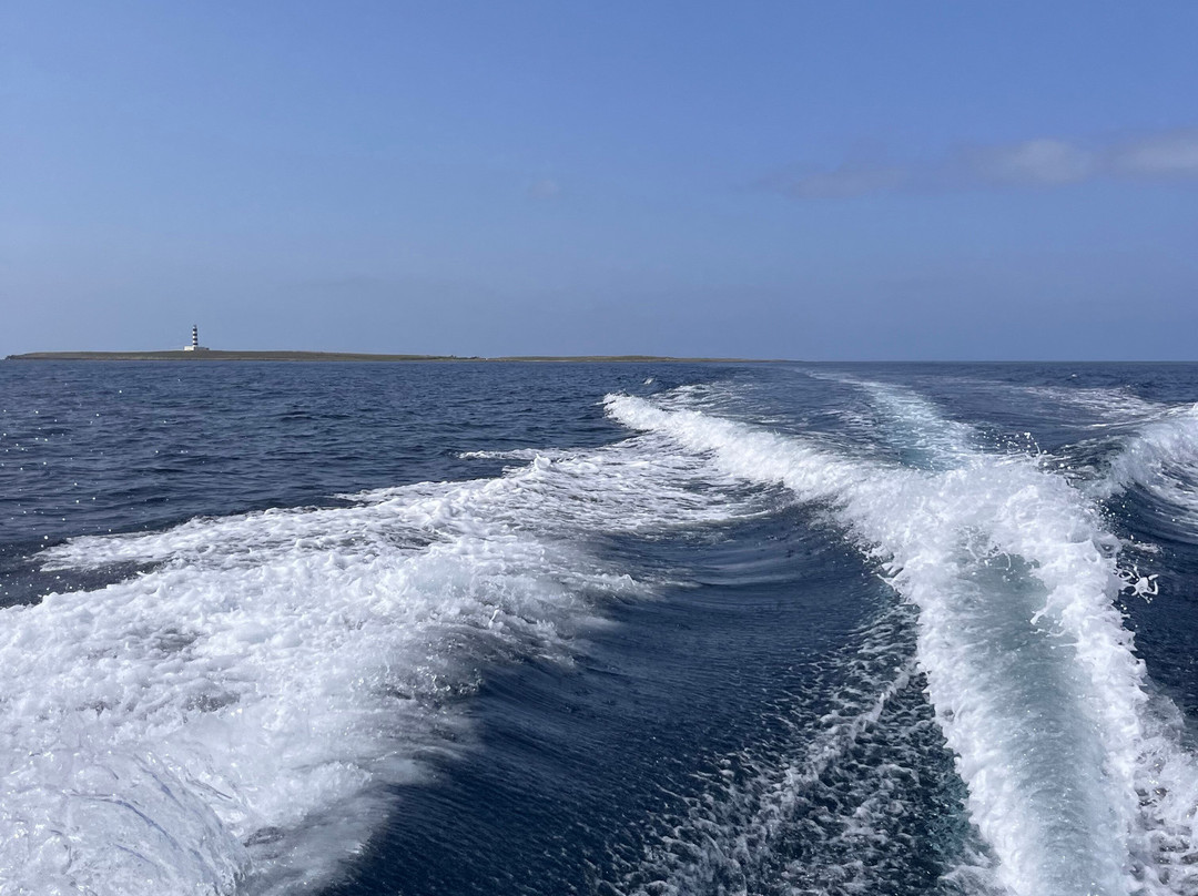 BlackLizard Boat Tours-Biniancolla必去景点