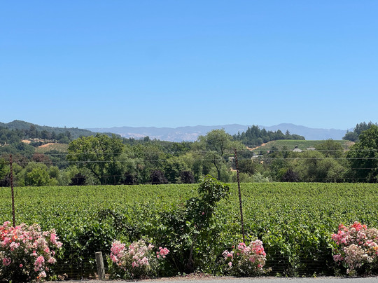 Getaway Adventures-希尔兹堡必去景点