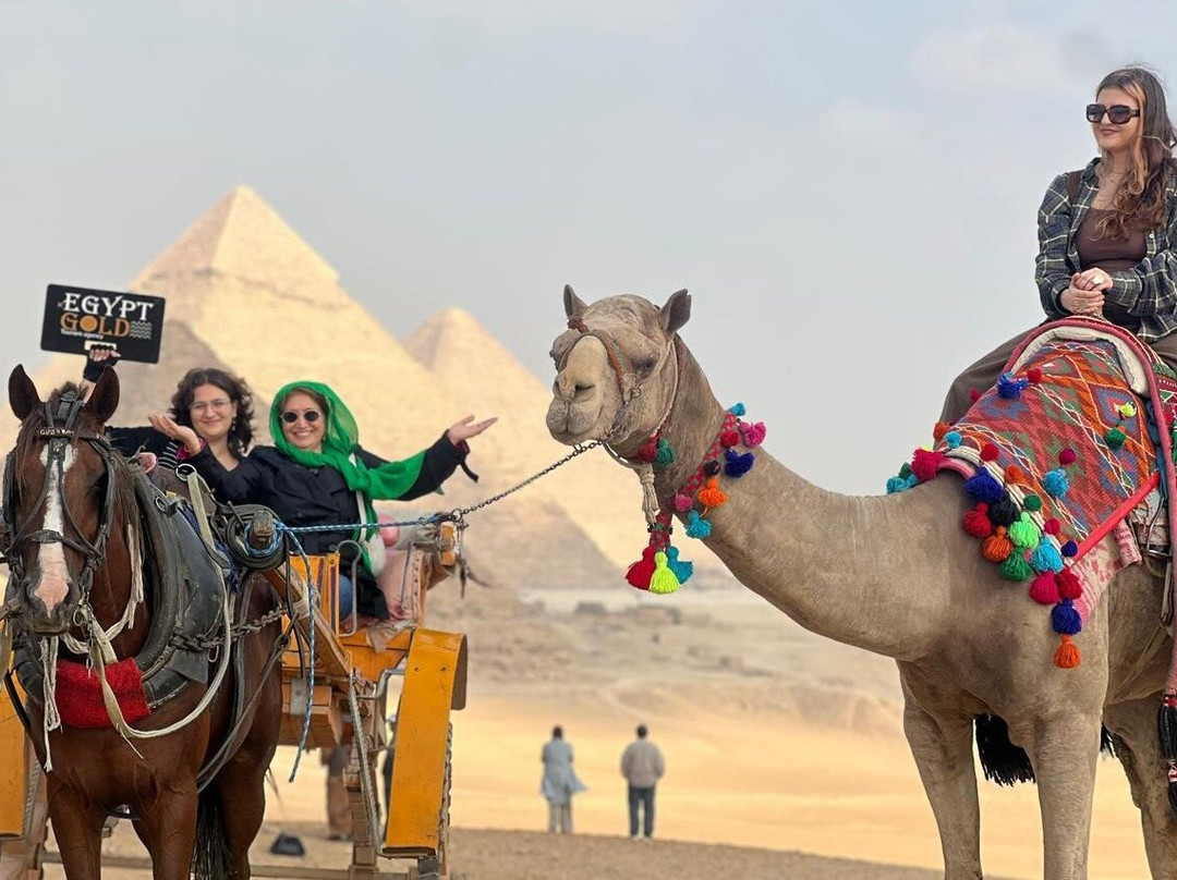 Come to Egypt Tours-New Cairo City必去景点