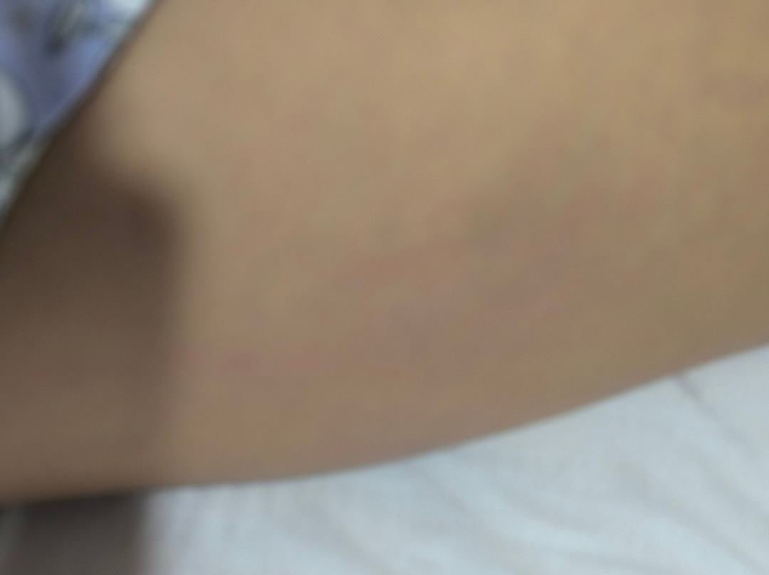 Hotel Lord Star主图