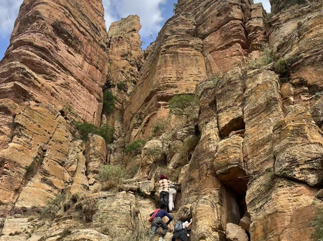 Pure Love Ethiopia景点图片