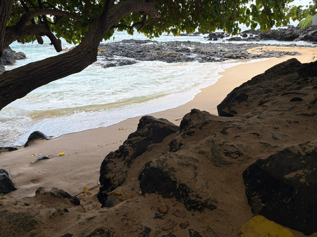 Pa'ako Beach (Secret Cove)-维雷亚必去景点