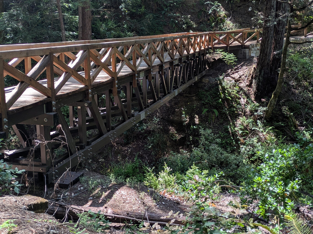 Portola Redwoods State Park-La Honda必去景点