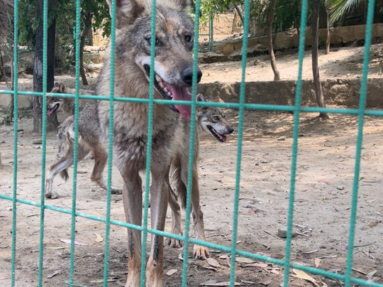 Discovery Park-Ilica必去景点