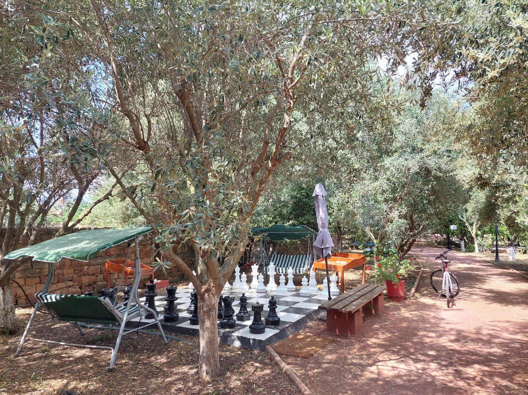 Bella Cisterna主图