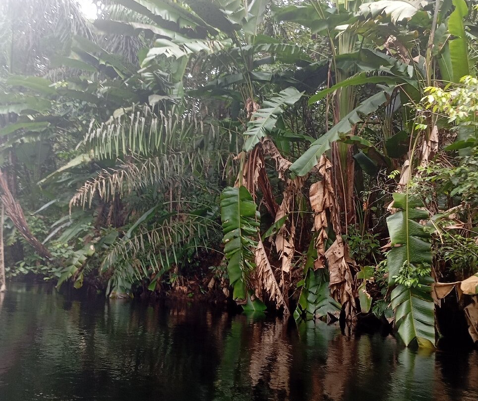 Crique Gabriel-卡宴必去景点