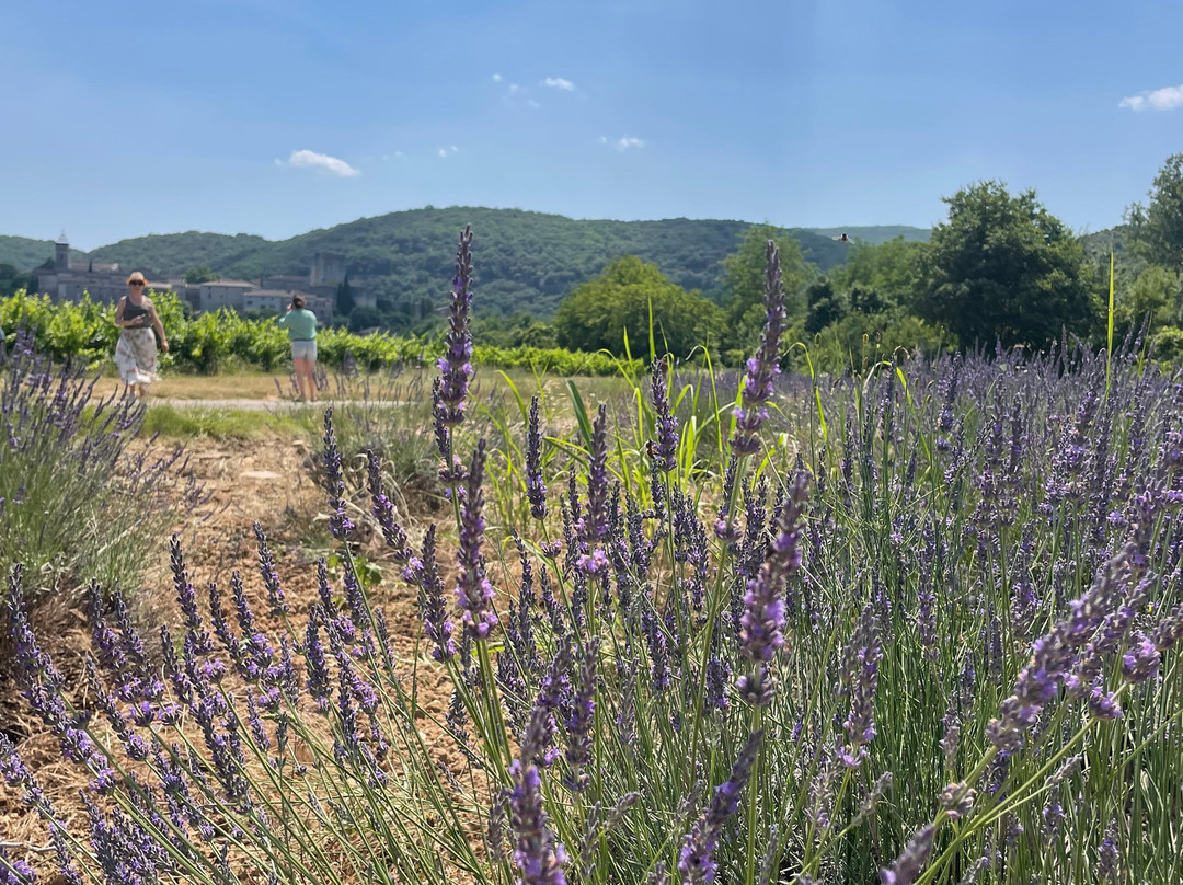 Village de Montclus-Montclus必去景点