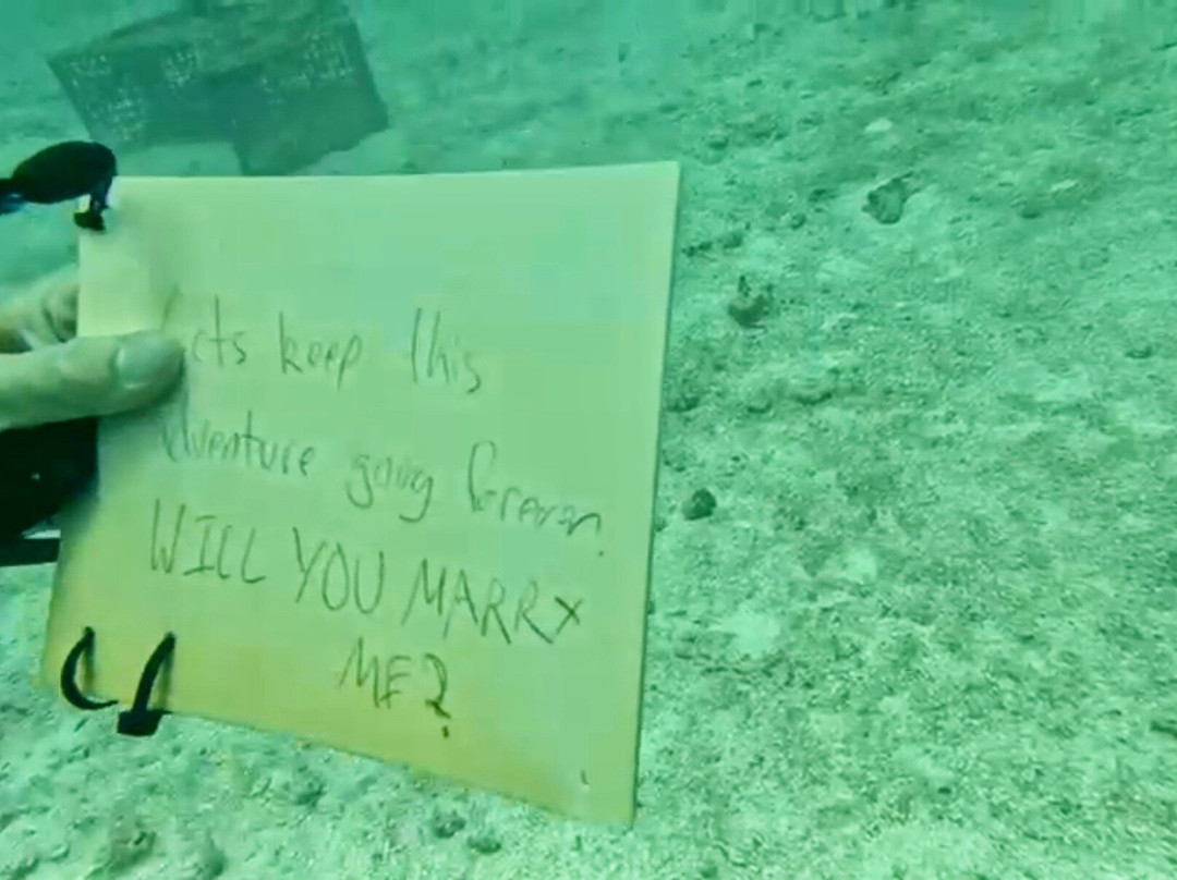 Scuba Shack Limited-Sandy Ground必去景点