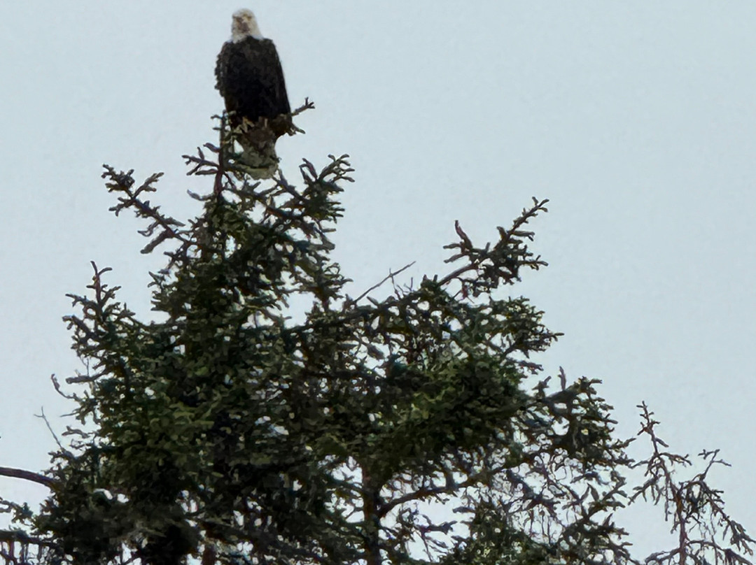 Alaska Vistas-Wrangell必去景点