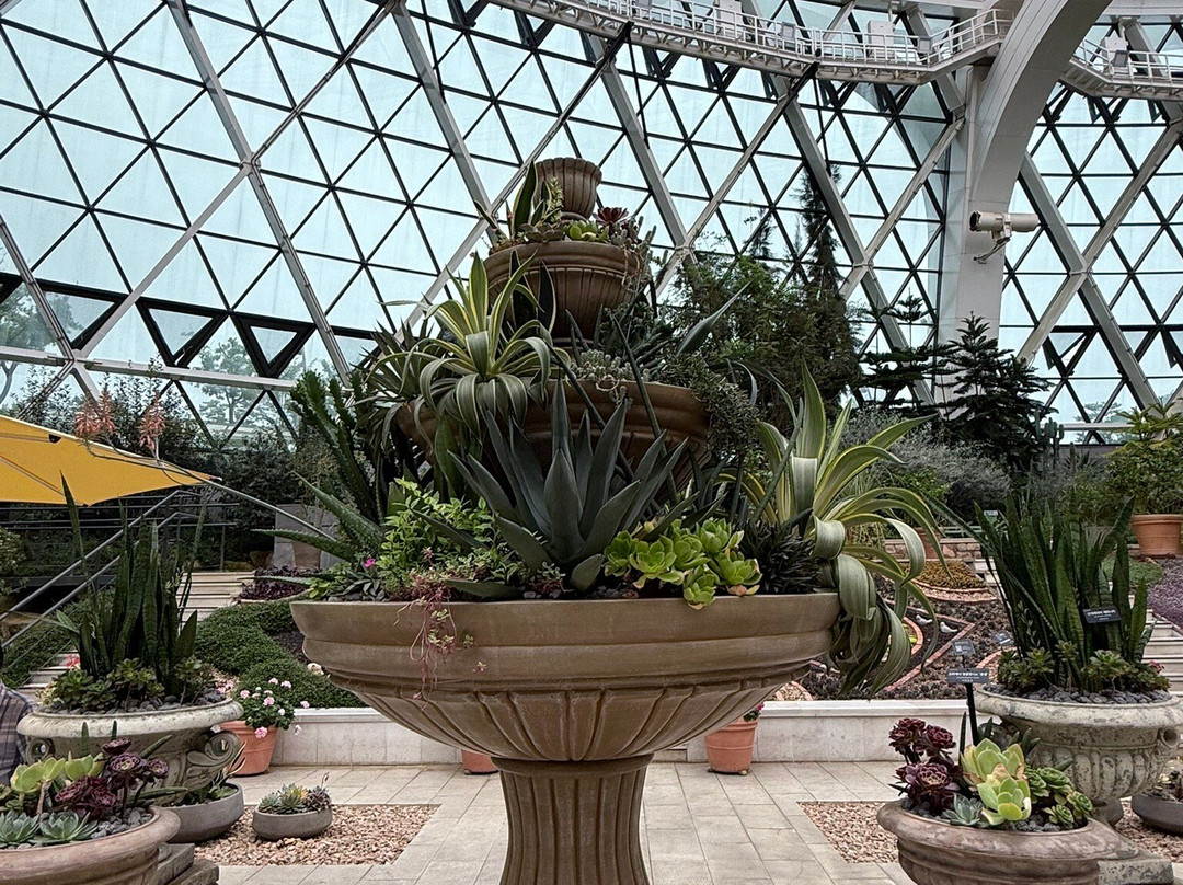 Seoul Botanical Garden-首尔必去景点