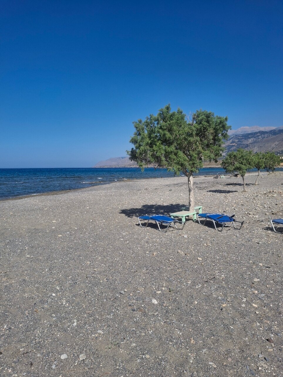 Studios Stavris-官方