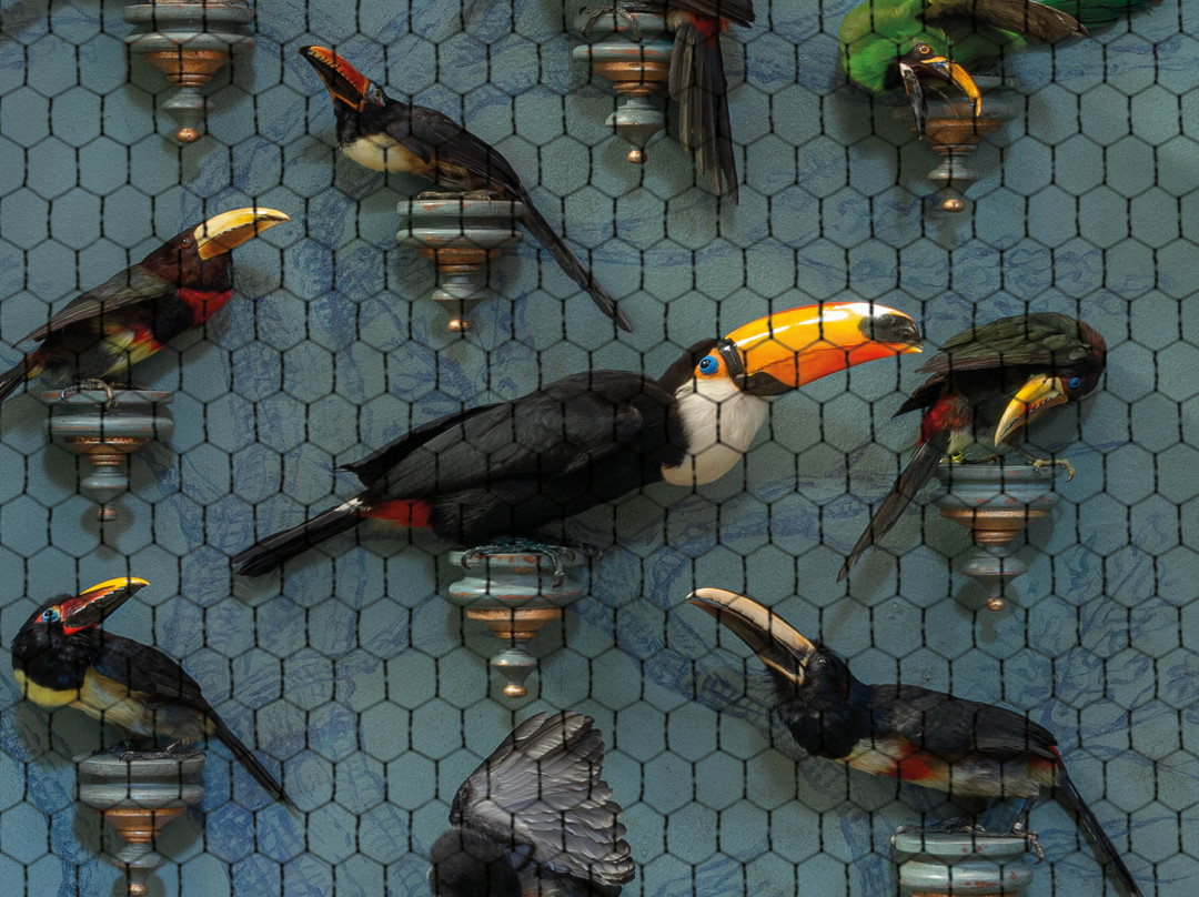 Art Zoo Museum-阿姆斯特丹必去景点