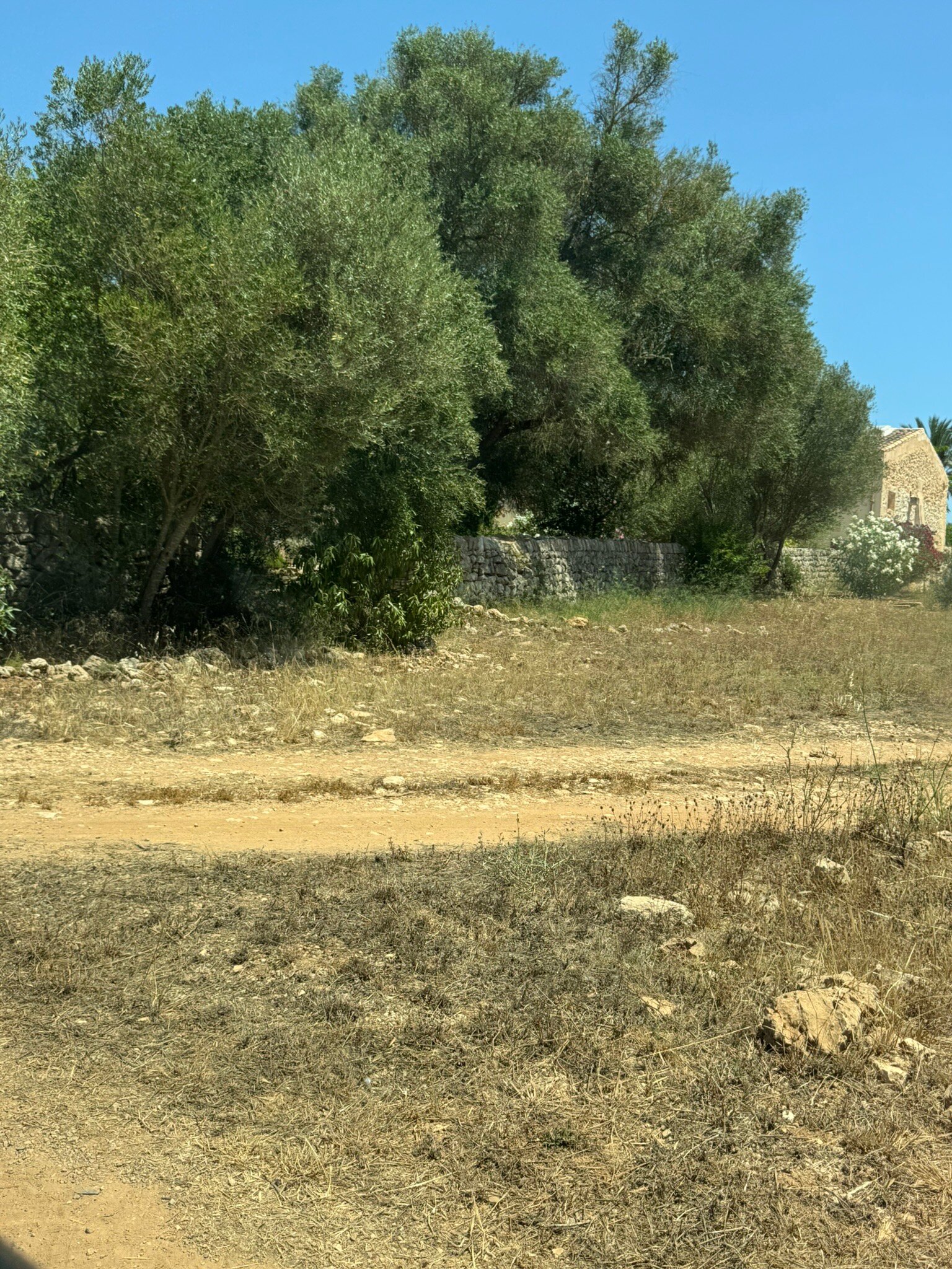 Agroturisme Rafal Nou-官方