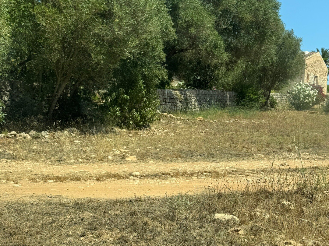 Agroturisme Rafal Nou主图