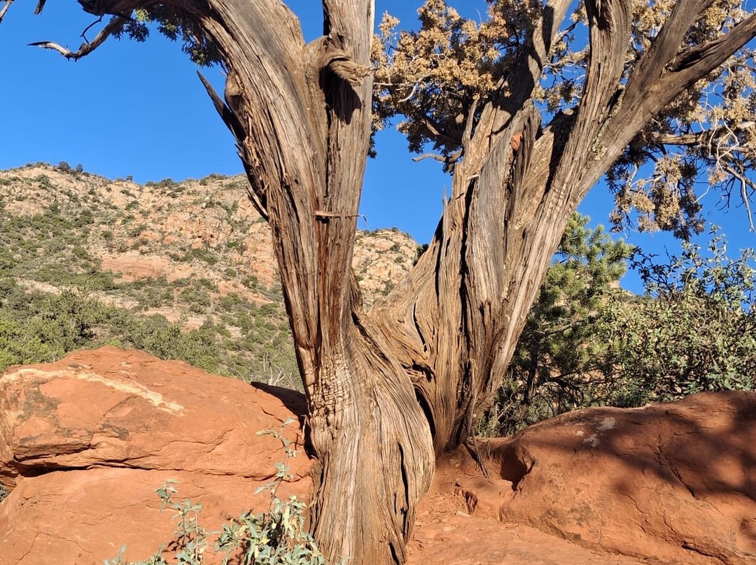 Vortex Yoga Hiking In Sedona-塞多纳必去景点
