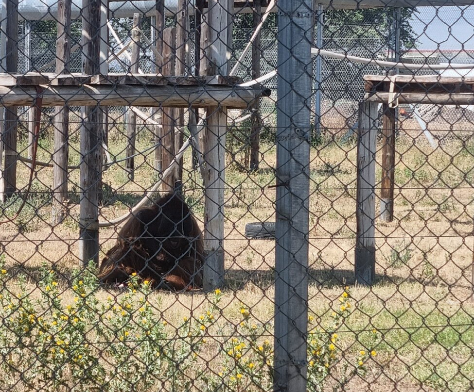 Centro De Rescate Y Recuperación De Primates Rainfer-Fuente El Saz De Jarama必去景点