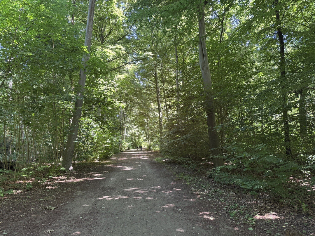Eilenriede City Forest-汉诺威必去景点