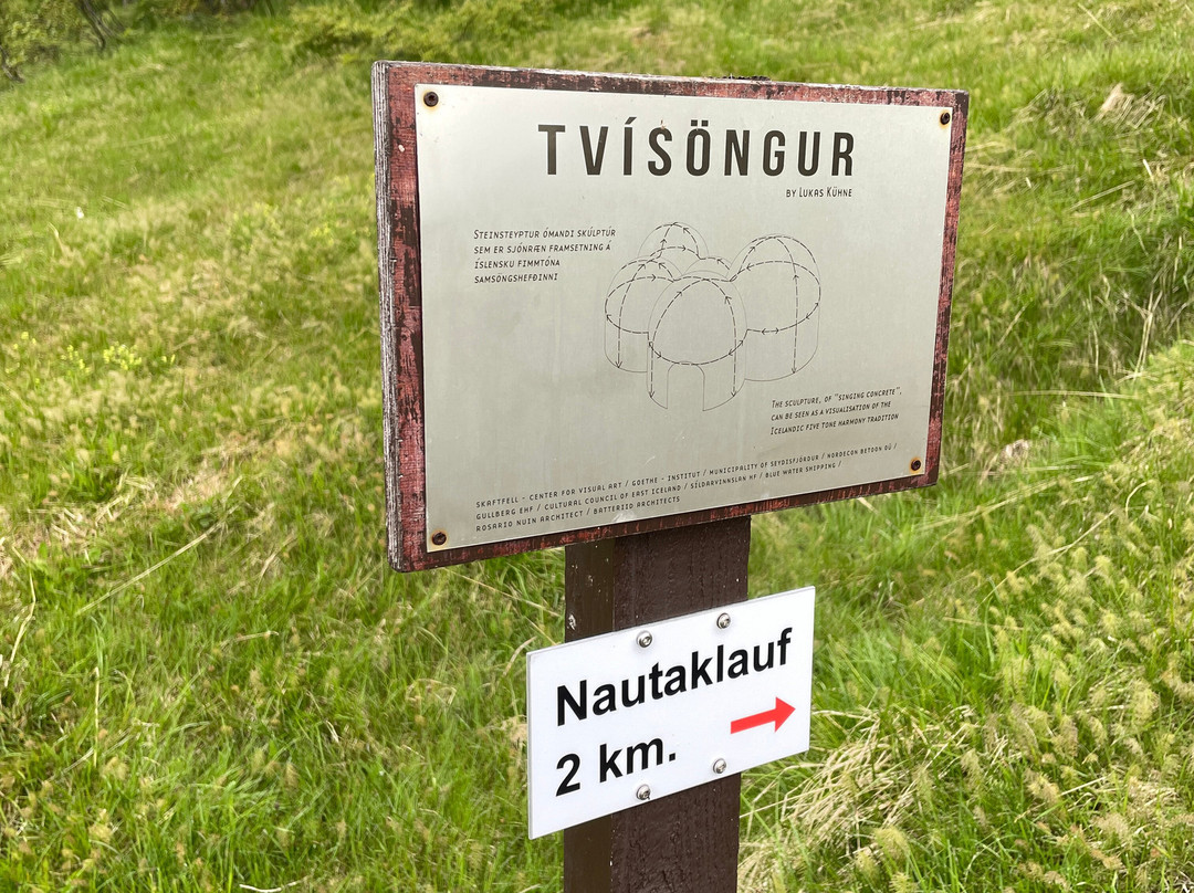 Tvisongur-塞济斯菲厄泽必去景点