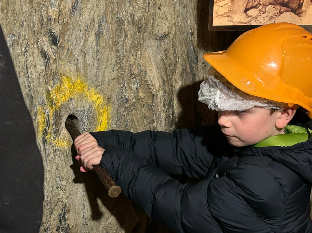 Long Tunnel Extended Gold Mine-Walhalla必去景点