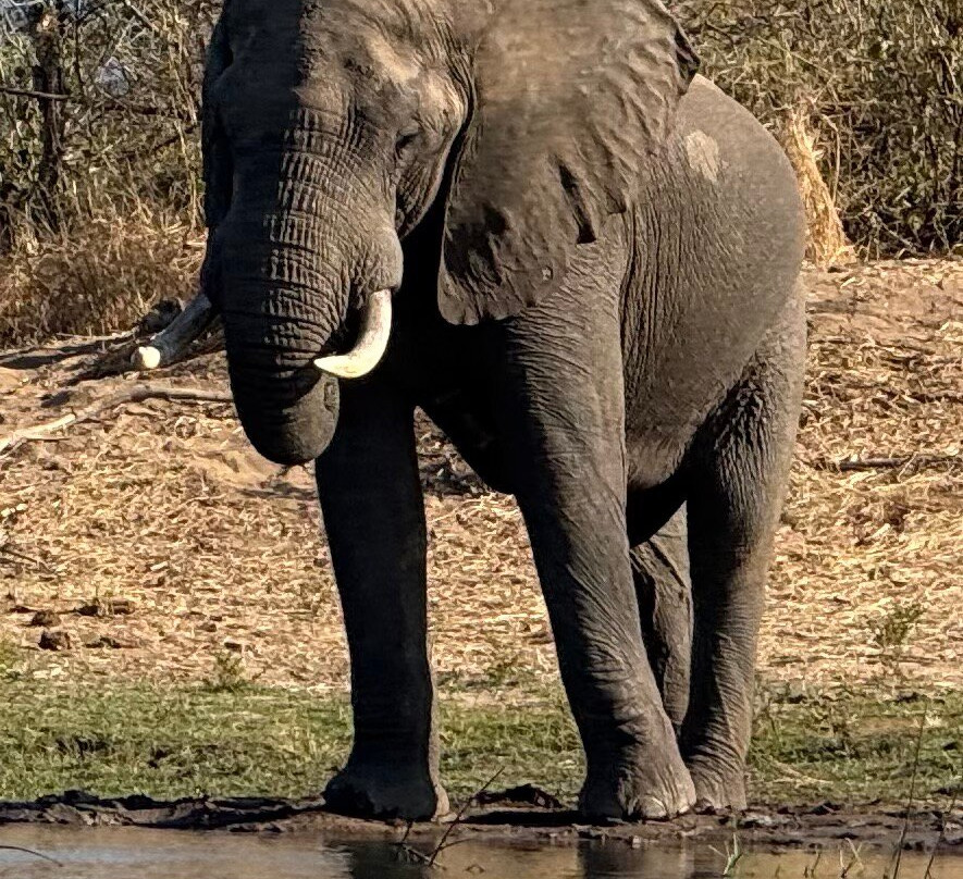 Mophy's Budget Safari-南卢安瓜国家公园必去景点