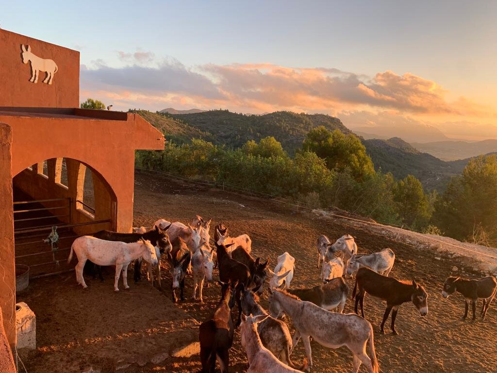 Mirador de Bernia-Jalon必去景点