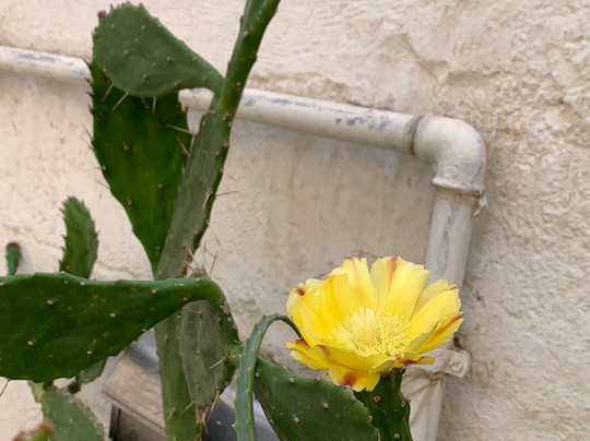 Salento in Movimento - Tour and Transfer-加里波利必去景点