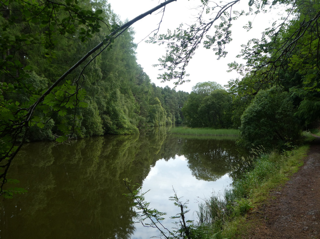 Millbuies Trout Fishery, Moray Fly Fishers-埃尔金必去景点