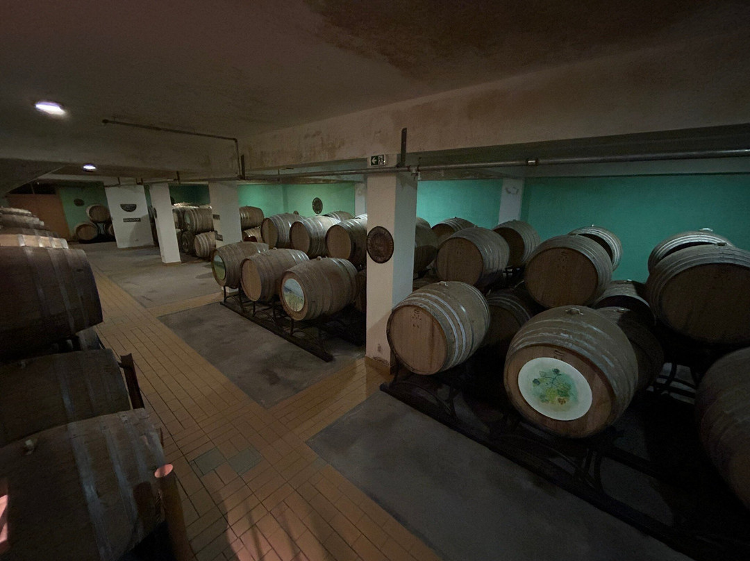 Samos Wine Museum-Samos Town必去景点