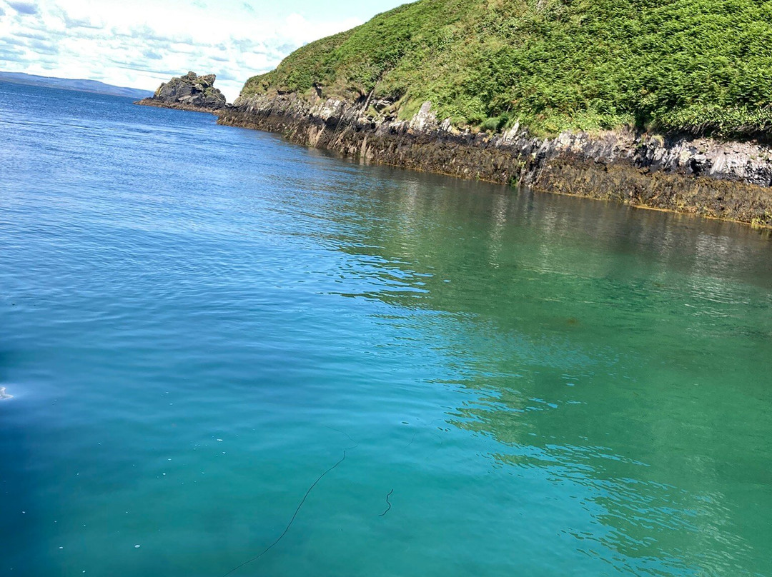 Whale Watch West Cork-Baltimore必去景点