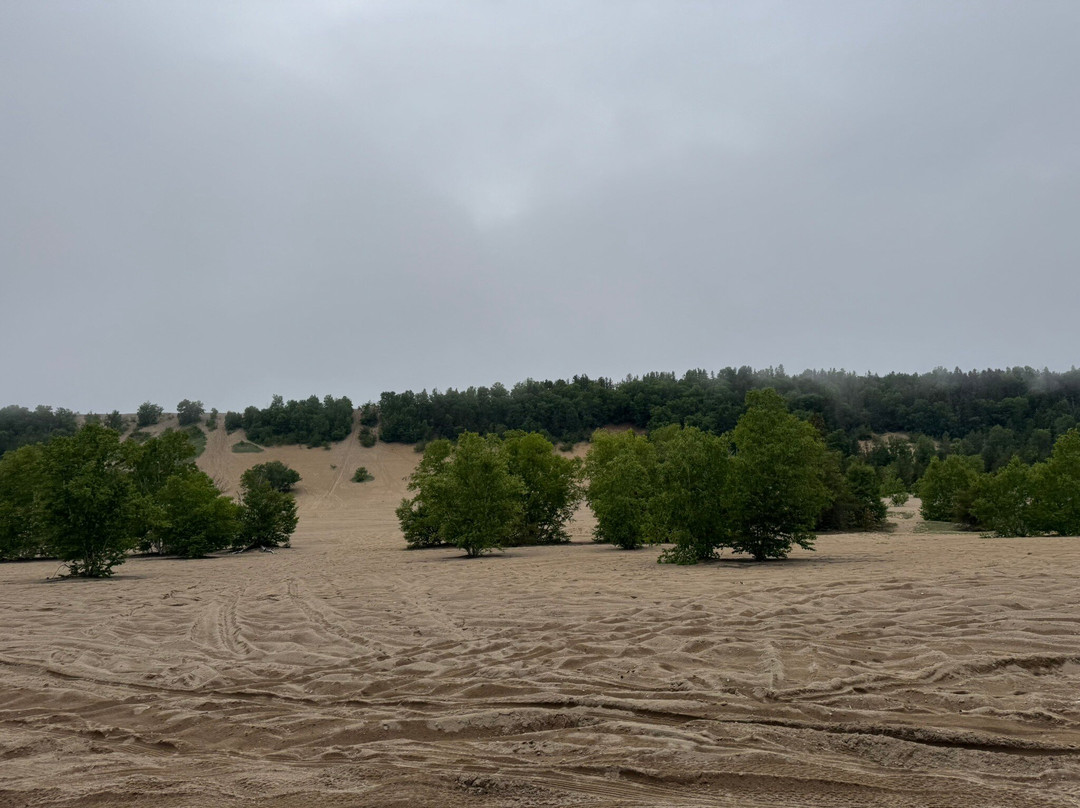 Les Dunes-泰道沙克必去景点