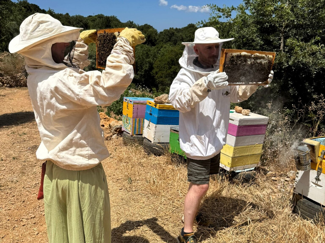 Chania Wine Tours-干尼亚必去景点